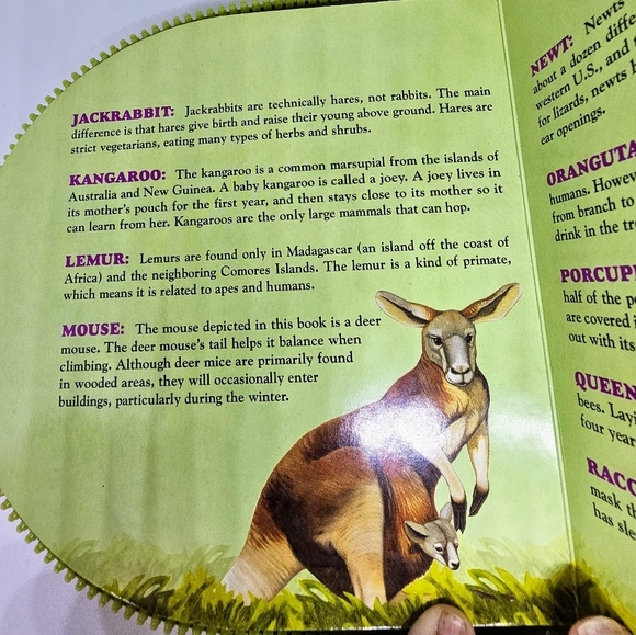SMITHSONIAN'S "ANIMALS A TO Z" - Picture 8 of 8